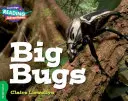 Velcí brouci Zelené pásmo - Big Bugs Green Band