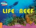 Život na útesu Oranžová kapela - Life on the Reef Orange Band