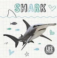 Životní cyklus žraloka - Life Cycle of a Shark