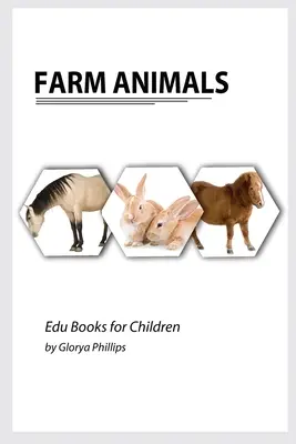 Zvířata na farmě: Montessori skutečná zvířata z farmy: kniha, kousky inteligence pro miminko a batole, dětská kniha, zdroje učení - Farm Animals: Montessori real Farm Animals book, bits of intelligence for baby and toddler, children's book, learning resources