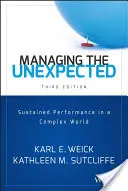 Řízení neočekávaného: Udržitelná výkonnost ve složitém světě - Managing the Unexpected: Sustained Performance in a Complex World