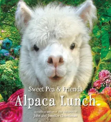 Oběd pro alpaky - Alpaca Lunch