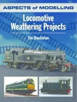 Aspekty modelářství: Lokomotivní povětrnostní projekty - Aspects of Modelling: Locomotive Weathering Projects