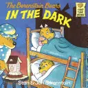 Medvídci Berenstainovi ve tmě - Berenstain Bears in the Dark