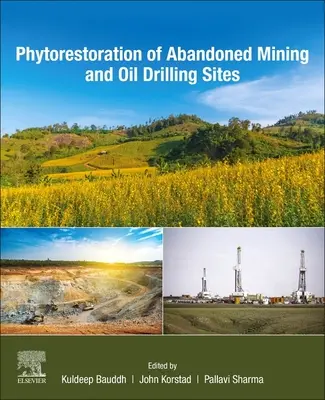 Fytorestaurace opuštěných těžebních a ropných vrtů - Phytorestoration of Abandoned Mining and Oil Drilling Sites