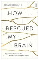 Jak jsem si zachránil mozek - pozoruhodné zotavení psychologa po mrtvici a traumatu - How I Rescued My Brain - a psychologist's remarkable recovery from stroke and trauma