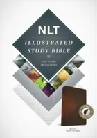 Ilustrovaná studijní bible-NLT - Illustrated Study Bible-NLT
