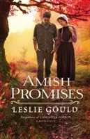 Amišské sliby - Amish Promises
