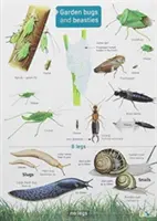 Zahradní brouci a šelmy - Garden Bugs and Beasties