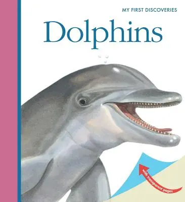 Delfíni - Dolphins