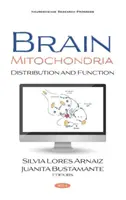 Mitochondrie mozku - rozdělení a funkce - Brain Mitochondria - Distribution and Function