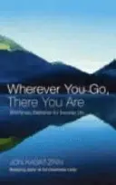 Kamkoli jdeš, tam jsi - Meditace všímavosti pro každodenní život - Wherever You Go, There You Are - Mindfulness meditation for everyday life