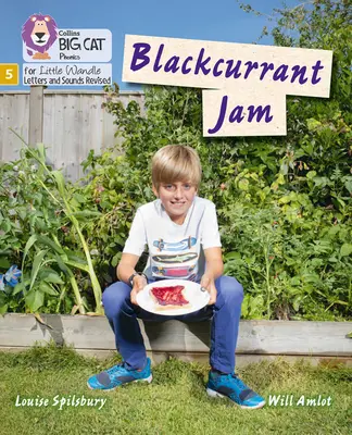 Džem z černého rybízu - Fáze 5 - Blackcurrant Jam - Phase 5