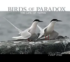 Ptáci paradoxů: Život rybáků - Birds of Paradox: The Life of Terns