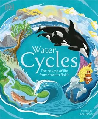 Koloběh vody - Water Cycles