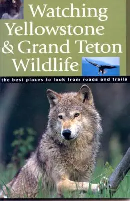 Pozorování divoké přírody Yellowstonu a Grand Tetonu - Watching Yellowstone & Grand Teton Wildlife