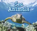 Mořští živočichové - Sea Animals