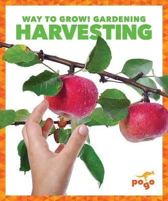 Sklizeň - Harvesting