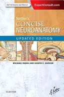 Netterova stručná neuroanatomie, aktualizované vydání - Netter's Concise Neuroanatomy Updated Edition