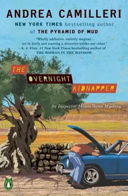 Únosce přes noc - The Overnight Kidnapper