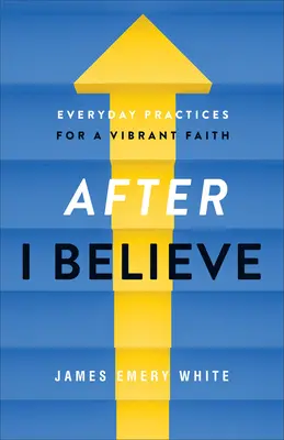 Poté, co jsem uvěřil: Všední praxe pro živou víru - After I Believe: Everyday Practices for a Vibrant Faith