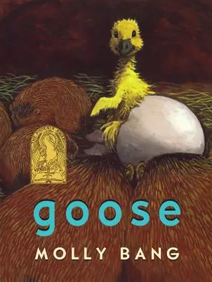 Husa - Goose