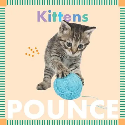 Koťata skáčou - Kittens Pounce