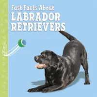 Rychlá fakta o labradorech - Fast Facts About Labradors