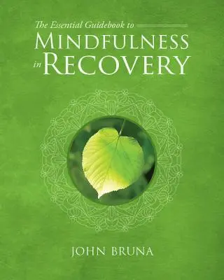 Základní průvodce všímavostí při zotavování - The Essential Guidebook to Mindfulness in Recovery