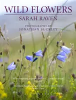 Divoké květiny Sarah Ravenové - Sarah Raven's Wild Flowers