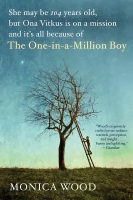 Chlapec, který je jeden z milionu - The One-In-A-Million Boy