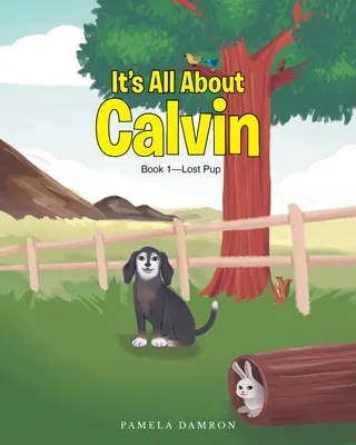 Všechno je to o Calvinovi: Kniha 1 - Ztracené štěně - It's All About Calvin: Book 1-Lost Pup