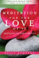 Meditace pro lásku: Vychutnávání vlastních nejhlubších prožitků - Meditation for the Love of It: Enjoying Your Own Deepest Experience