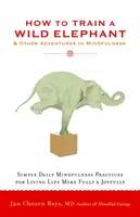 Jak vycvičit divokého slona: A další dobrodružství s všímavostí - How to Train a Wild Elephant: And Other Adventures in Mindfulness