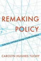 Přetváření politiky: Vliv reformy zdravotní péče na její rozsah, tempo a politickou strategii. - Remaking Policy: Scale, Pace, and Political Strategy in Health Care Reform
