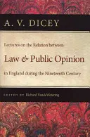 Přednášky o vztahu mezi právem a veřejným míněním v Anglii v devatenáctém století - Lectures on the Relation Between Law and Public Opinion in England During the Nineteenth Century