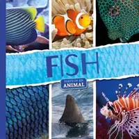 Ryby - Fish