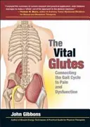 Vitální hýždě - Spojení cyklu chůze s bolestí a dysfunkcí - Vital Glutes - Connecting the Gait Cycle to Pain and Dysfunction