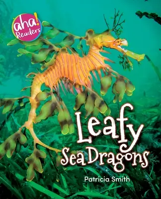 Listoví mořští draci - Leafy Sea Dragons