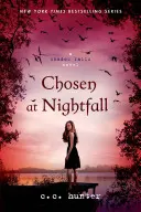 Vyvolený za soumraku - Chosen at Nightfall