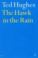 Jestřáb v dešti - Hawk in the Rain