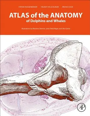 Atlas anatomie delfínů a velryb - Atlas of the Anatomy of Dolphins and Whales