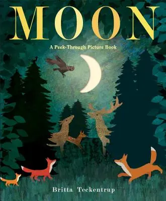 Měsíc: Měsíc: průhledná obrázková knížka - Moon: A Peek-Through Picture Book