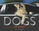 Psi v autech - Dogs in Cars