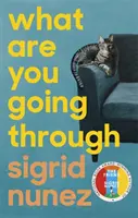 Čím procházíš - What Are You Going Through