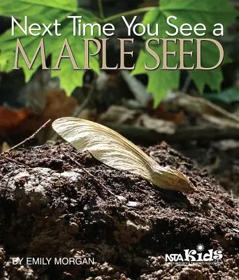 Až příště uvidíte semínko javoru - Next Time You See a Maple Seed