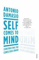 Já přichází do mysli - konstrukce vědomého mozku - Self Comes to Mind - Constructing the Conscious Brain