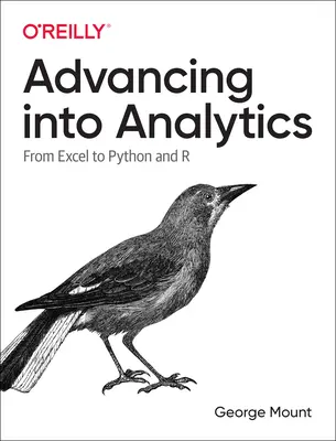 Pokrok v analytice: Od Excelu k Pythonu a R - Advancing Into Analytics: From Excel to Python and R