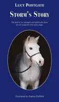 Stormův příběh - Storm's Story