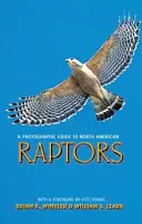 Fotografický průvodce severoamerickými dravci - A Photographic Guide to North American Raptors